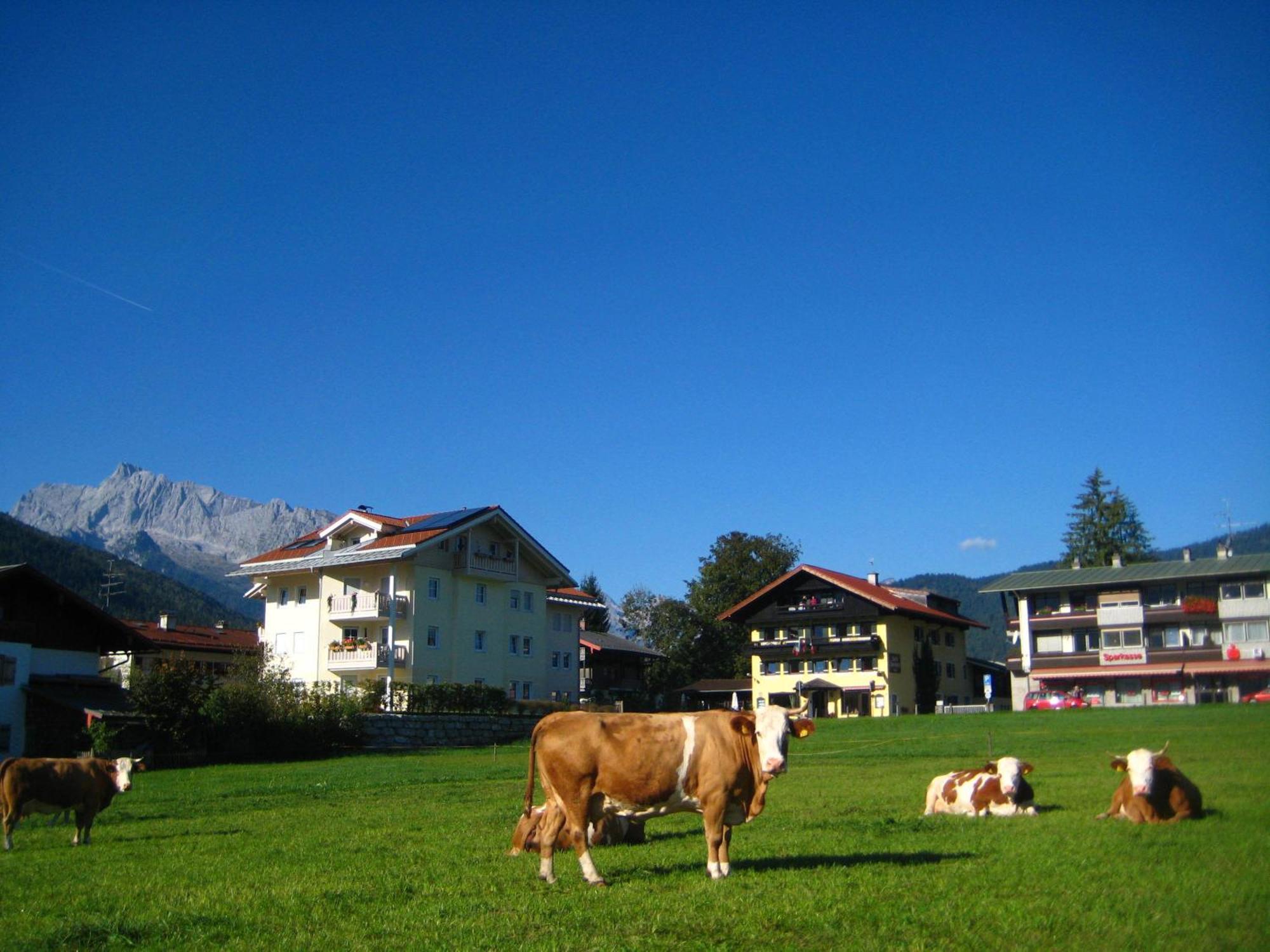 Sporthotel Schonau Am Konigssee المظهر الخارجي الصورة